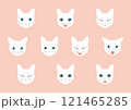 いろいろな表情の猫　白猫　アウトラインなし 121465285