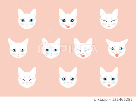 いろいろな表情の猫　白猫　アウトラインなし 121465285