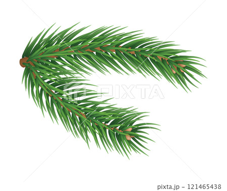 Fluffy fir tree brunch isolated on white background. Merry Christmas and Happy New Year decoration. Green fir tree branch vector illustration. Fresh conifer plant detailed 3d rendering element. Fluffy fir tree brunch isolated on white background. Merry Christmas and Happy New Year decoration. Green fir tree branch vector illustration. Fresh conifer plant detailed 3d rendering element. 121465438