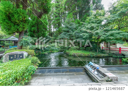 熊本県阿蘇市 綺麗な水を湛える名水白川水源 熊本県阿蘇市 綺麗な水を湛える名水白川水源 121465687