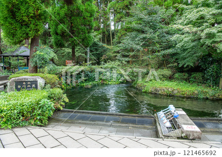 熊本県阿蘇市 綺麗な水を湛える名水白川水源 熊本県阿蘇市 綺麗な水を湛える名水白川水源 121465692