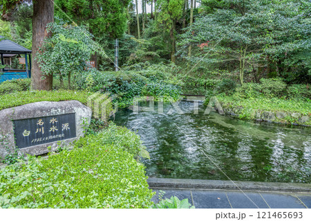 熊本県阿蘇市 綺麗な水を湛える名水白川水源 熊本県阿蘇市 綺麗な水を湛える名水白川水源 121465693
