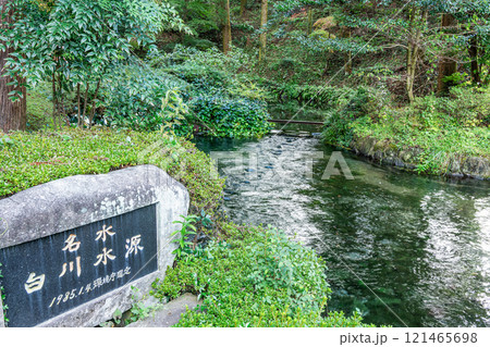 熊本県阿蘇市　綺麗な水を湛える名水白川水源 121465698