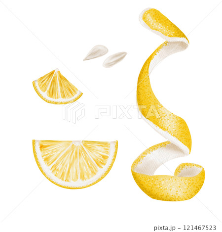 Set of lemon slices and slices. Yellow citrus peel. Small white lemon tree seeds. Waste and leftover food. Small trash. watercolor illustration. No background. Set of lemon slices and slices. Yellow citrus peel. Small white lemon tree seeds. Waste and leftover food. Small trash. watercolor illustration. No background. 121467523
