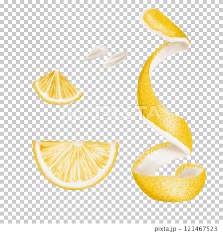 Set of lemon slices and slices. Yellow citrus peel. Small white lemon tree seeds. Waste and leftover food. Small trash. watercolor illustration. No background. Set of lemon slices and slices. Yellow citrus peel. Small white lemon tree seeds. Waste and leftover food. Small trash. watercolor illustration. No background. 121467523
