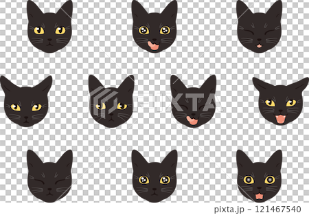 いろいろな表情の猫　黒猫　アウトラインなし 121467540