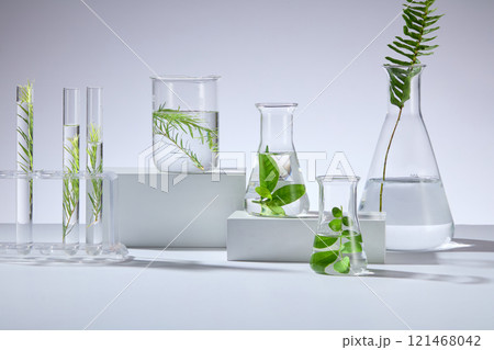 In a white background, a frontal view of some laboratory glassware containing ferns, tea plants, and green tea branches is placed on a white podium, creating an empty space for display products. 121468042