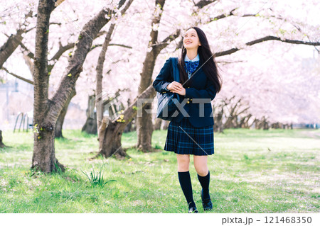 桜並木と高校生（女子高生） 121468350