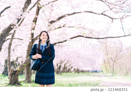 桜と女子高生 121468351