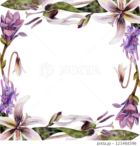 Spring forest flowers, white erythronium trout lily, purple corydalis vetch orchid, mauve magnolia camelia bud hand drawn in watercolor. Border frame illustration for wedding, florist shop, stationery Spring forest flowers, white erythronium trout lily, purple corydalis vetch orchid, mauve magnolia camelia bud hand drawn in watercolor. Border frame illustration for wedding, florist shop, stationery 121468396