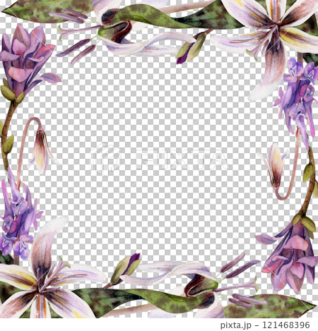 Spring forest flowers, white erythronium trout lily, purple corydalis vetch orchid, mauve magnolia camelia bud hand drawn in watercolor. Border frame illustration for wedding, florist shop, stationery Spring forest flowers, white erythronium trout lily, purple corydalis vetch orchid, mauve magnolia camelia bud hand drawn in watercolor. Border frame illustration for wedding, florist shop, stationery 121468396