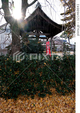 落葉の寺院 121468641