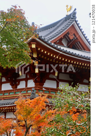 モミジと寺院（京都府・宇治市） 121470038