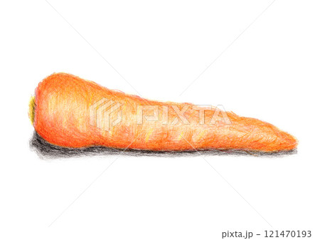 色鉛筆で描いた手書きのにんじんのイラスト 121470193