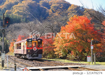 わたらせ渓谷鐵道「紅葉の沢入駅に入線するわっしー号」 121470274