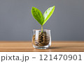 Glass jar filled with coins, with a small seedling growing in the center, placed on a table against a dark grey backdrop. The image represents the concept of saving and financial growth for future Glass jar filled with coins, with a small seedling growing in the center, placed on a table against a dark grey backdrop. The image represents the concept of saving and financial growth for future 121470901
