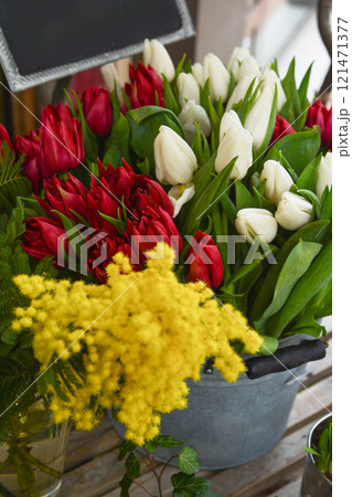Spring flowers-red and white tulips and mimosa 121471377