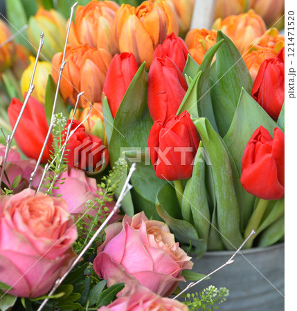 Spring flowers-orange and red tulips. 121471520