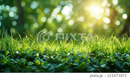 Spring background with green grass and blurred sun rays on bokeh 121471871