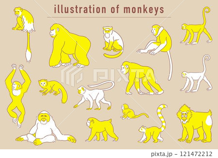 サルの仲間の手描きイラストセット サルの仲間の手描きイラストセット 121472212