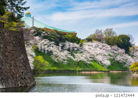 千鳥ヶ淵の桜の花 桜咲くお堀 千鳥ヶ淵の桜の花 桜咲くお堀 121472444