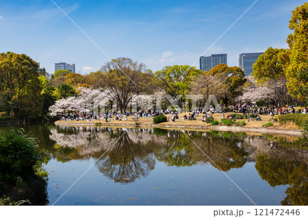 千鳥ヶ淵の桜の花 桜咲くお堀 千鳥ヶ淵の桜の花 桜咲くお堀 121472446