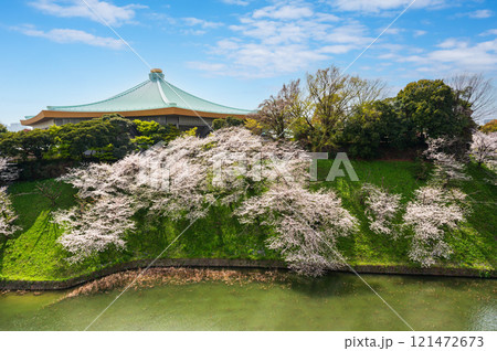 桜のある風景、千鳥ヶ淵の桜の花 121472673