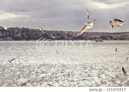 ボスポラス海峡の航海　イスタンブール　2 121472917