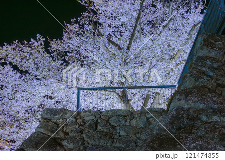 戌亥櫓台の夜桜【松代城跡】 戌亥櫓台の夜桜【松代城跡】 121474855