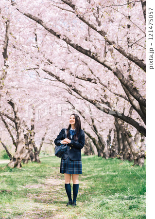 桜並木と女子高生 121475057