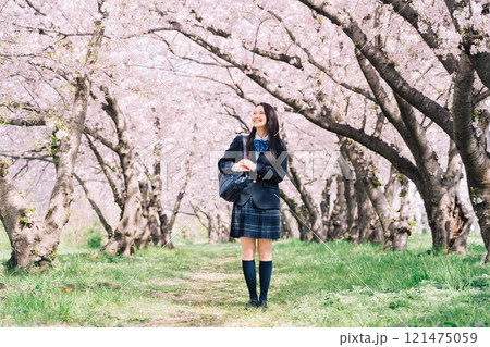 桜並木と女子高生 121475059