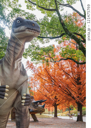 のんほいパーク、紅葉するメタセコイア並木〈愛知県豊橋市〉 のんほいパーク、紅葉するメタセコイア並木〈愛知県豊橋市〉 121475769