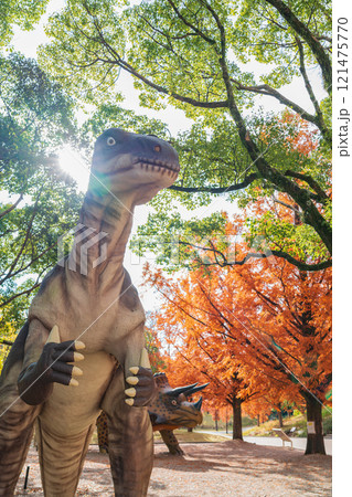のんほいパーク、紅葉するメタセコイア並木〈愛知県豊橋市〉 のんほいパーク、紅葉するメタセコイア並木〈愛知県豊橋市〉 121475770