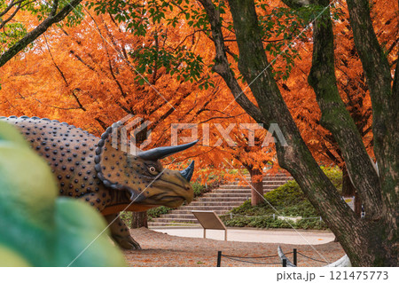 のんほいパーク、紅葉するメタセコイア並木〈愛知県豊橋市〉 のんほいパーク、紅葉するメタセコイア並木〈愛知県豊橋市〉 121475773