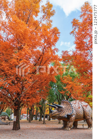 のんほいパーク、紅葉するメタセコイア並木〈愛知県豊橋市〉 のんほいパーク、紅葉するメタセコイア並木〈愛知県豊橋市〉 121475777