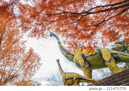 のんほいパーク、紅葉するメタセコイア並木〈愛知県豊橋市〉 のんほいパーク、紅葉するメタセコイア並木〈愛知県豊橋市〉 121475778