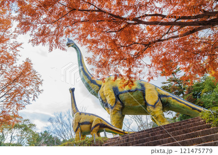 のんほいパーク、紅葉するメタセコイア並木〈愛知県豊橋市〉 121475779