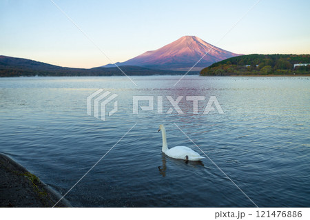 Beautiful view of Mt. Fuji and Lake Yamanaka in autumn, Yamanashi, Japan 121476886