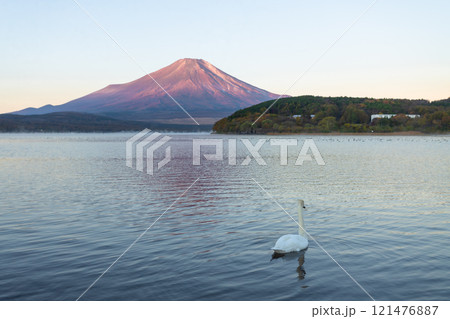 Beautiful view of Mt. Fuji and Lake Yamanaka in autumn, Yamanashi, Japan 121476887