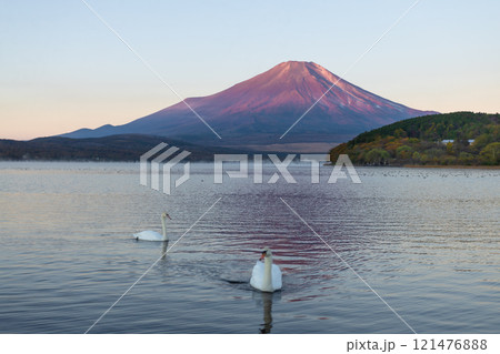 Beautiful view of Mt. Fuji and Lake Yamanaka in autumn, Yamanashi, Japan 121476888