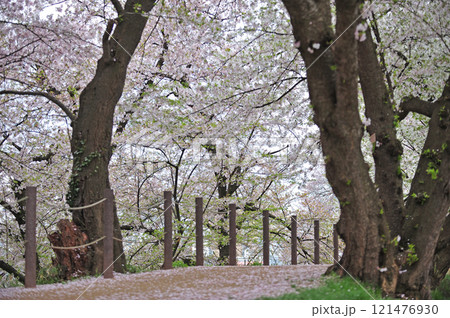 山形新幹線-北山形-山形 JR東日本 山形城跡 山形新幹線-北山形-山形 JR東日本 山形城跡 121476930