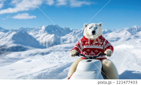 Polar Bear Enjoys a Snowmobile Ride in the Snow Polar Bear Enjoys a Snowmobile Ride in the Snow 121477433