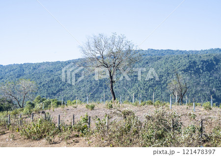 Landscape hill view of jaflong Bangladesh 121478397