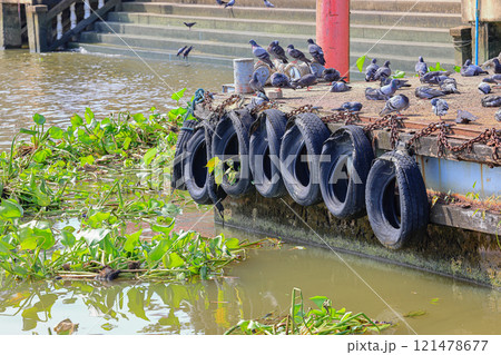 old car tires used as a boat cushions with others and at ferry pier. old car tires used as a boat cushions with others and at ferry pier. 121478677