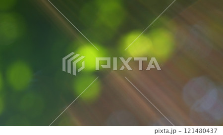 Beams Of Light. Soft Sunrays Through Foliage Of Plants. Blurred Abstract Bokeh With Sun Flare. Bokeh. 121480437