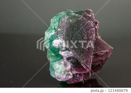 macro mineral stone green and purple fluorite on a black background 121480679