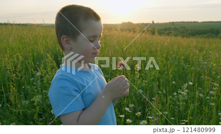 Child Picking Flowers. Baby Son With Beautiful Flowers Learning And Study Of World Around. Child In Summer Outdoors. Moves slowly. Child Picking Flowers. Baby Son With Beautiful Flowers Learning And Study Of World Around. Child In Summer Outdoors. Moves slowly. 121480999