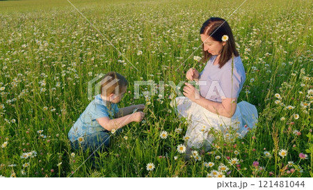 Happy Little Kid With Mother. Flowers In Meadow Field. Child Boy Collect Flowers. Boy Is Looking For Flowers. Young Family. Gimbal Stabilize. Happy Little Kid With Mother. Flowers In Meadow Field. Child Boy Collect Flowers. Boy Is Looking For Flowers. Young Family. Gimbal Stabilize. 121481044
