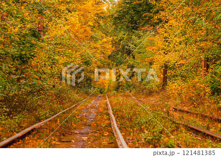 Autumn forest through which an old tram rides (Ukraine) 121481385
