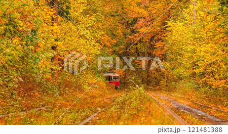Autumn forest through which an old tram rides (Ukraine) Autumn forest through which an old tram rides (Ukraine) 121481388